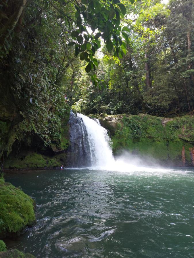 Cabana Para Vacacionar Rio Sarapiquí Eksteriør bilde